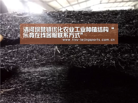 
清河坝营镇优化农业工业种植结构“乐竟在线客服联系方式”