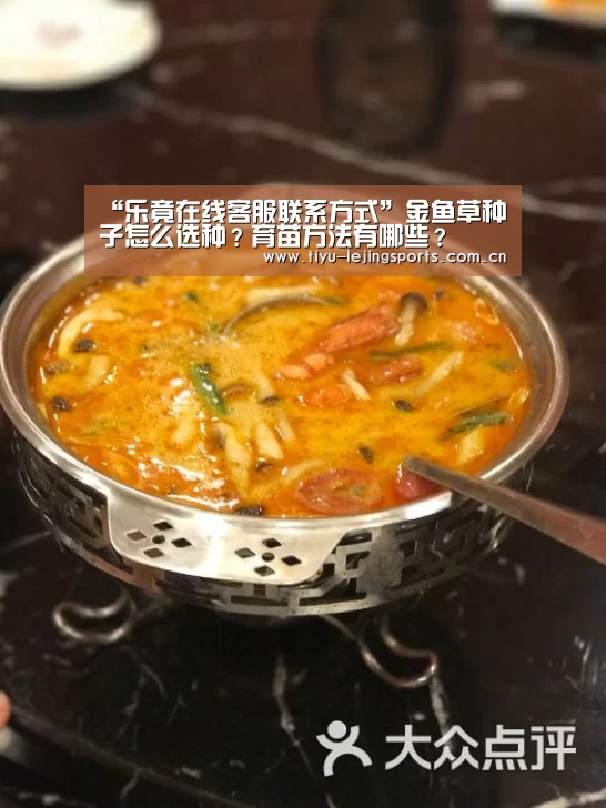 “乐竟在线客服联系方式”金鱼草种子怎么选种？育苗方法有哪些？