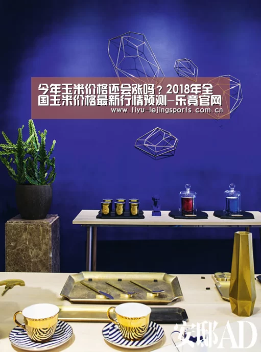 乐竟赛事