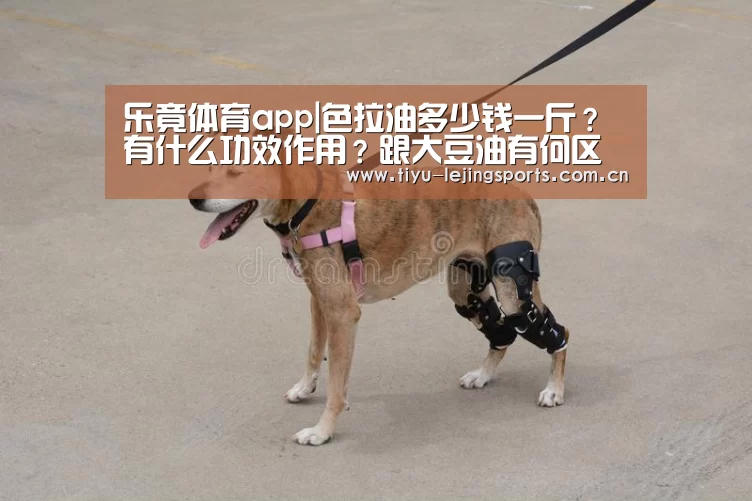 乐竟体育app|色拉油多少钱一斤?有什么功效作用?跟大豆油有何区别?(图2) 乐竟官网注册