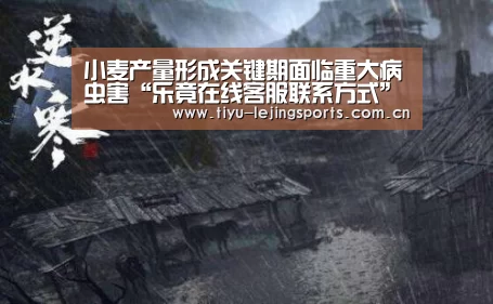 乐竟在线客服联系方式