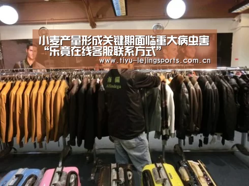 小麦产量形成关键期面临重大病虫害“乐竟在线客服联系方式”