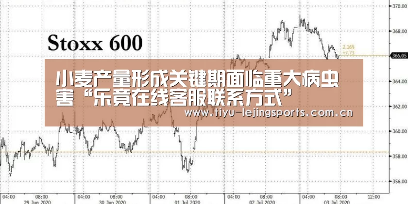 乐竟在线客服联系方式