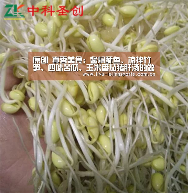 乐竟体育app
