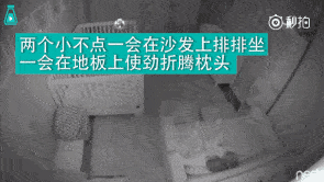 ‘乐竟官网注册’精选美食推荐：蘑菇番茄烩肥牛，干锅杏鲍菇，香