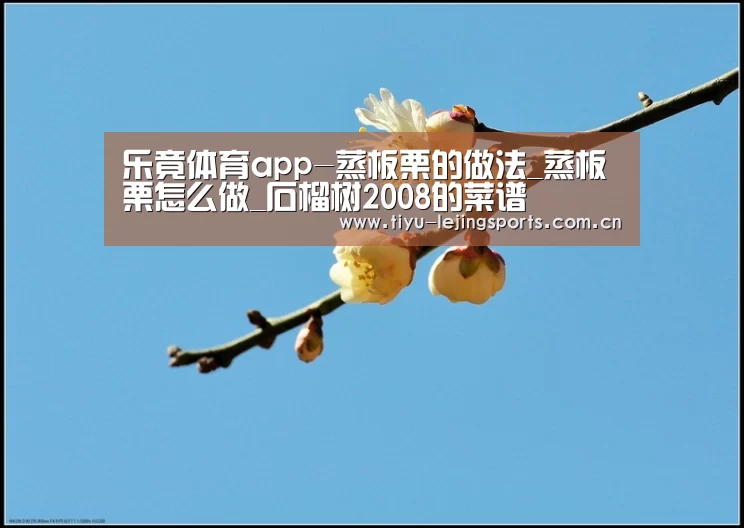乐竟体育app-蒸板栗的做法_蒸板栗怎么